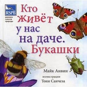 Кто живет у нас на даче. Букашки
