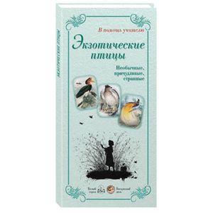 Экзотические птицы. Необычные, причудливые, странные
