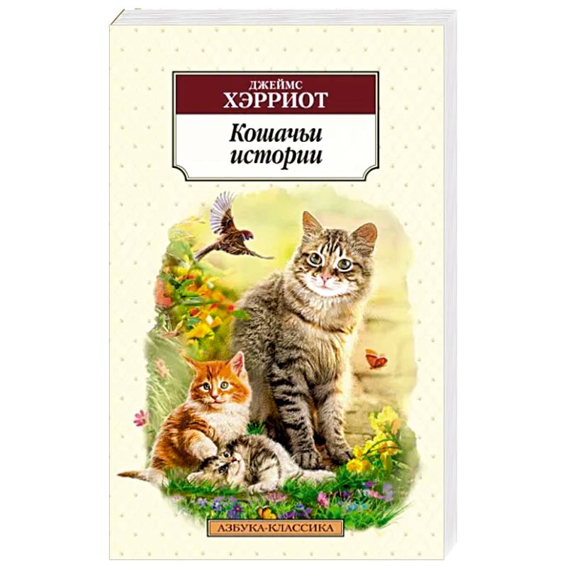 Кошачьи истории Кошачьи истории