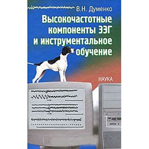 Высокочастотные компоненты ЭЭГ и инструментальное обучение