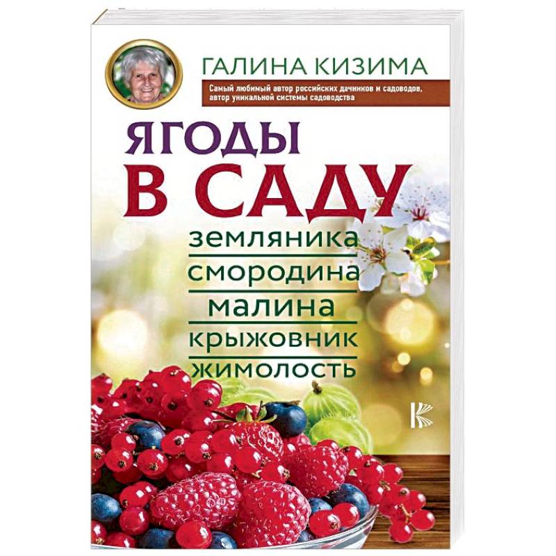 Ягоды в саду. Земляника, смородина, малина, крыжовник, жимолость