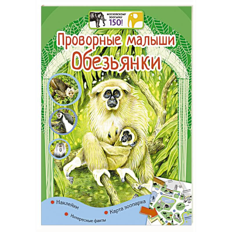 Проворные малыши. Обезьянки