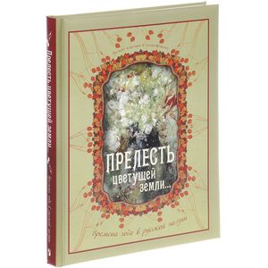 Прелесть цветущей земли... Времена года в русской поэзии