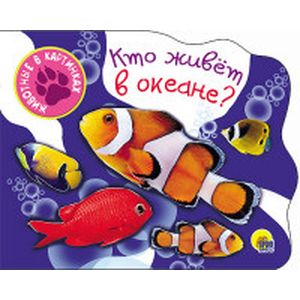 Кто живет в океане?