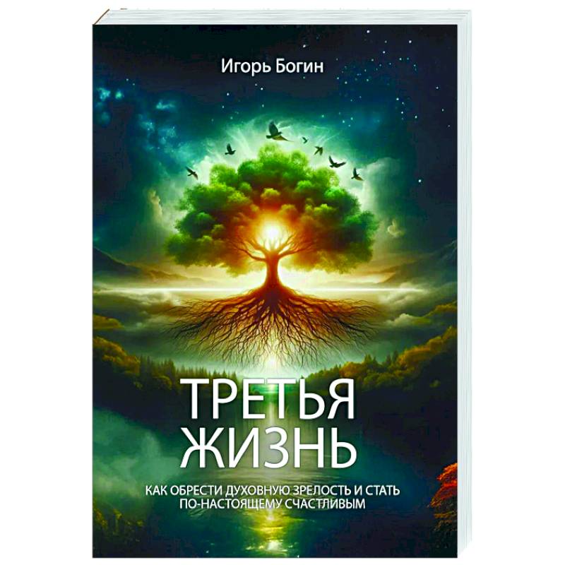 Третья жизнь. Как обрести духовную зрелость и стать по-настоящему счастливым Третья жизнь. Как обрести духовную зрелость и стать по-настоящему счастливым