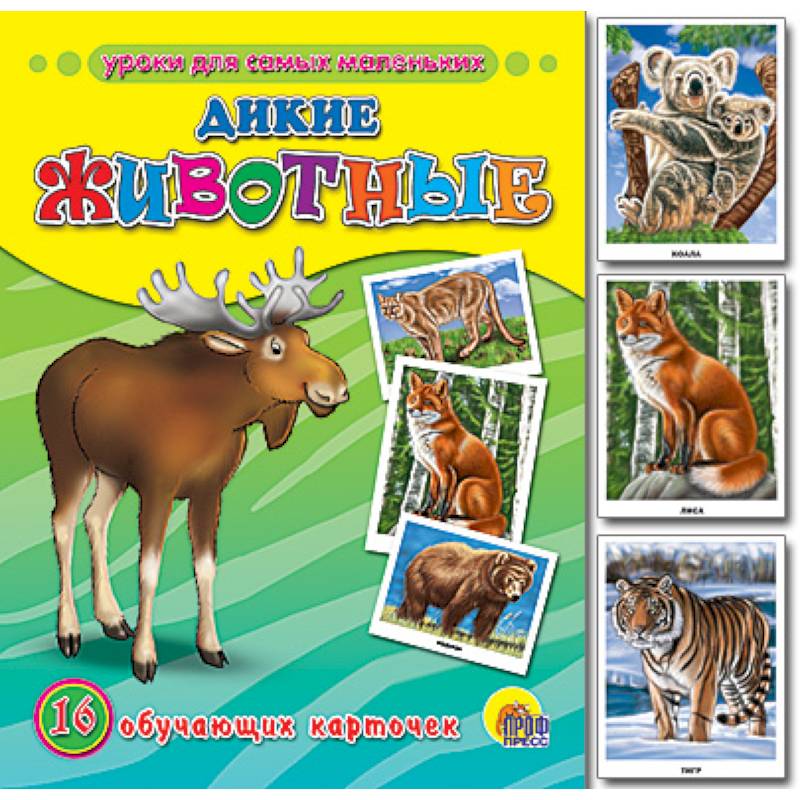 Обучающие карточки. Дикие животные