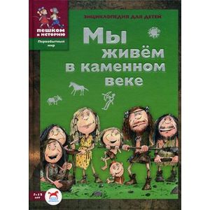 Мы живем в каменном веке