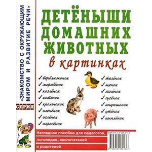 Детеныши домашних животных в картинках. Наглядное пособие для педагогов, воспитателей и родителей