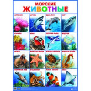 Морские животные