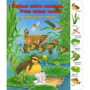 В пруду и у реки