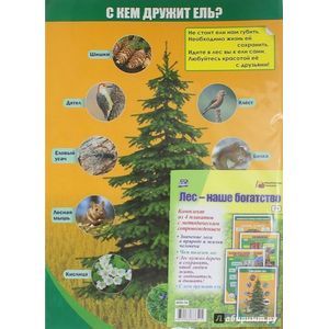 Комплект плакатов. Лес - наше богатство. 4 плаката. ФГОС
