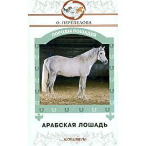 Арабская лошадь