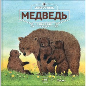 Животные в природе. Медведь