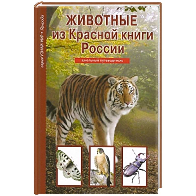 Животные из Красной книги России. Школьный путеводитель