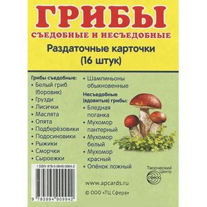 Грибы. Съедобные и несъедобные. Раздаточные карточки