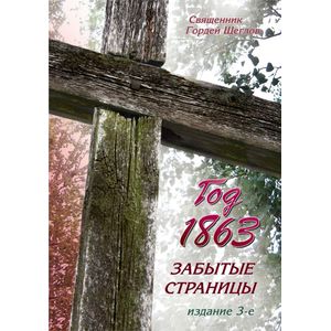 Год 1863. Забытые страницы