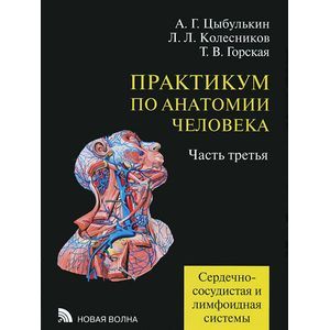 Практикум по анатомии человека. В 4 частях. Часть 3. Сердечно-сосудистая и лимфоидная системы