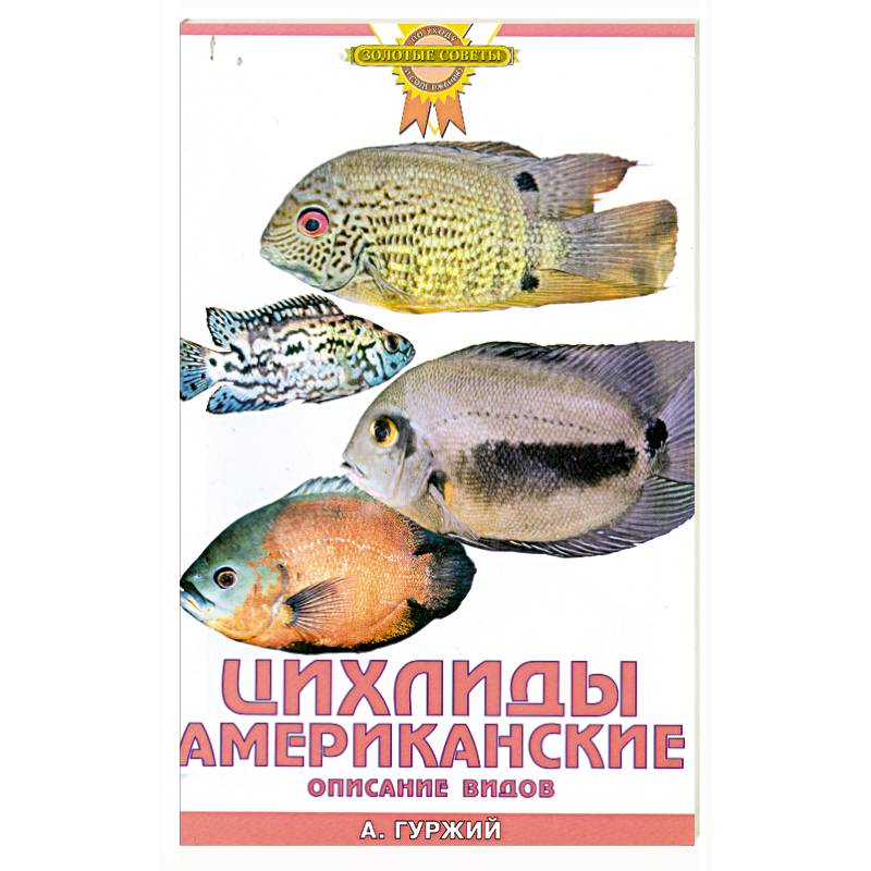 Цихлиды Америки аквариумные рыбки, фотографии с названиями