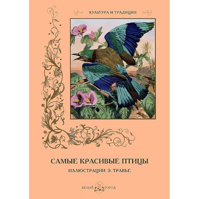 Самые красивые птицы