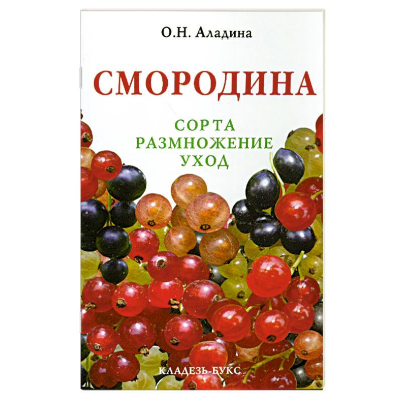 Смородина : сорта, размножение, уход