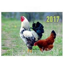 Квартальный календарь 2017 'Петух с курицей'