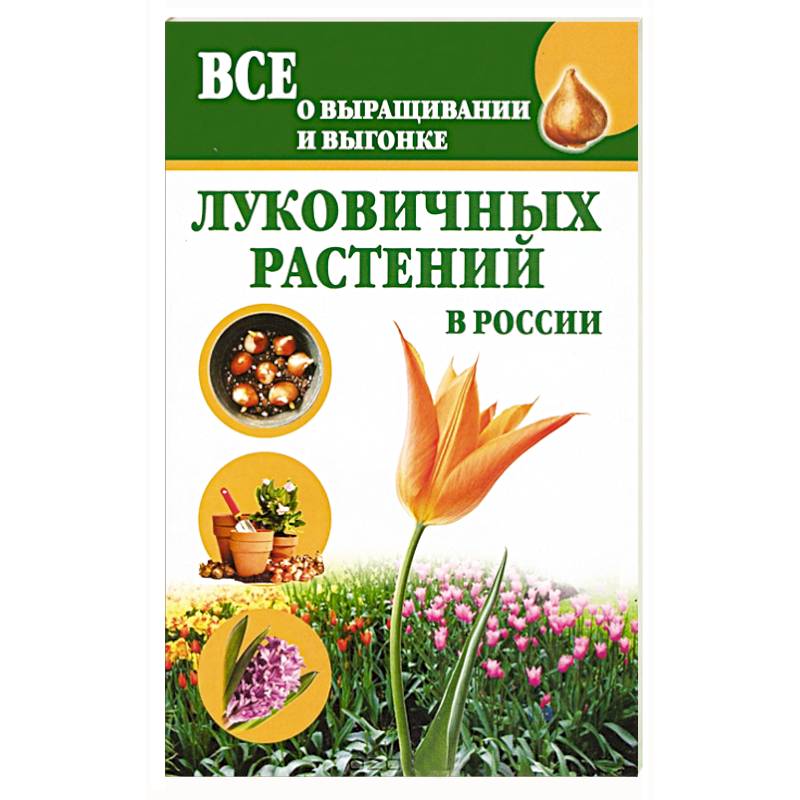 Все о выращивании и выгонке луковичных растений в России