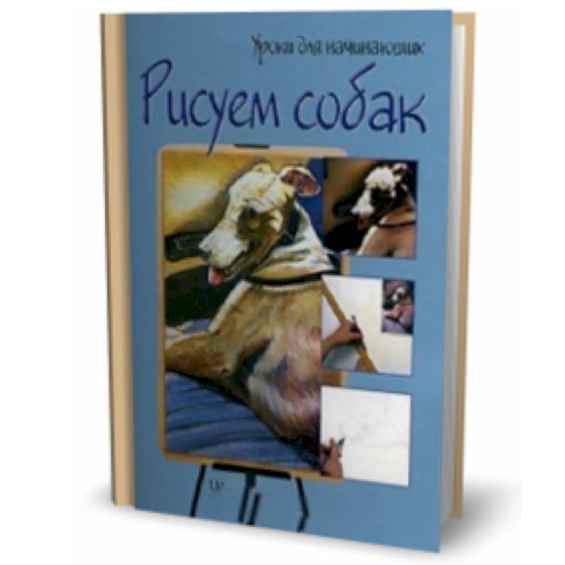 Рисуем собак. Шаг за шагом