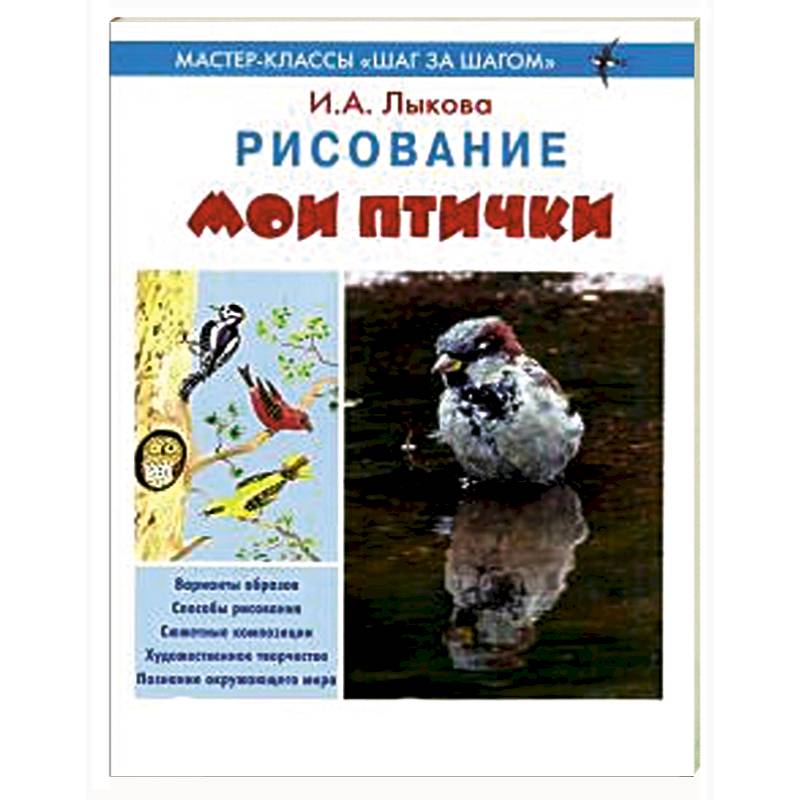 Мои птички. Рисование