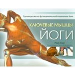 Ключевые мышцы йоги