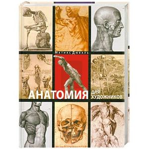 Анатомия для художников