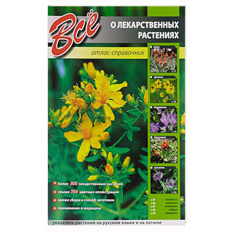 Все о лекарственных растениях.