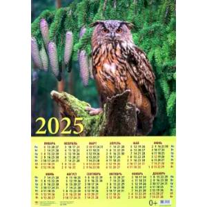 Календарь на 2025 год настенный листовой Сова в лесу