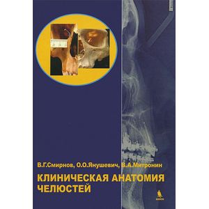 Клиническая анатомия челюстей