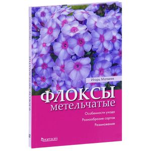 Флоксы метельчатые