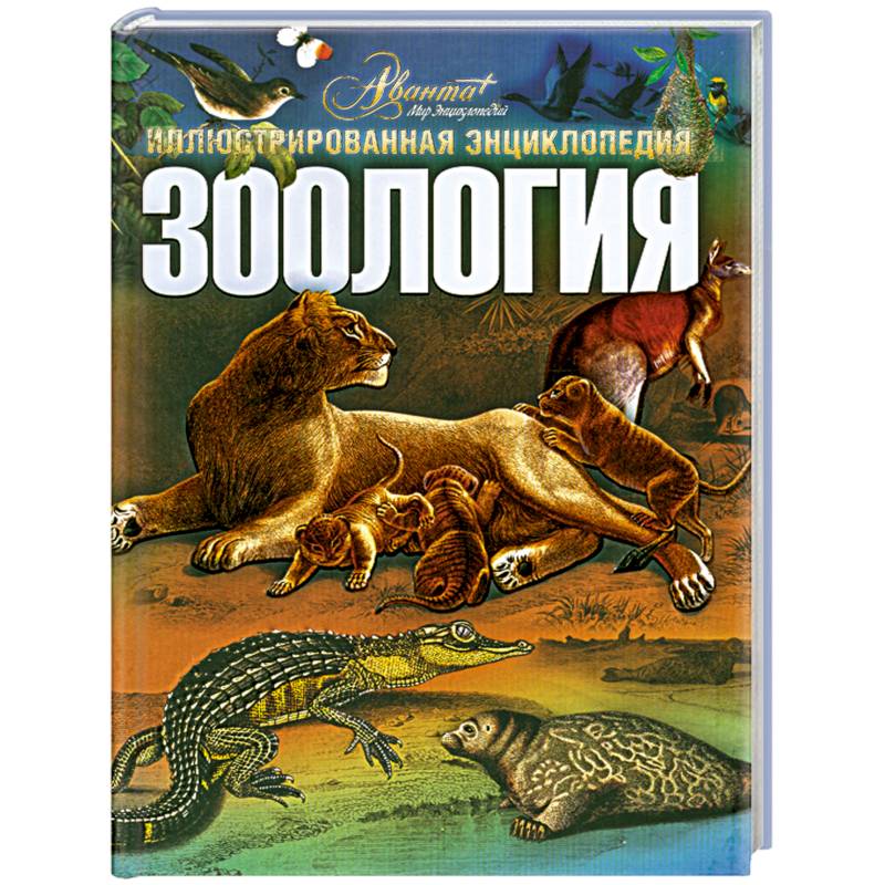 Большая детская энциклопедия. Том 5. История России. Часть 1. От древних славян до конца XVII века