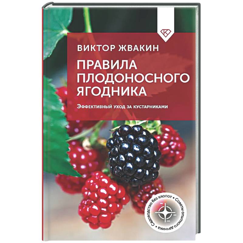 Правила плодоносного ягодника. Эффективный уход за кустарниками