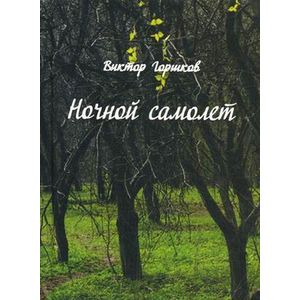 Ночной самолет. Стихи