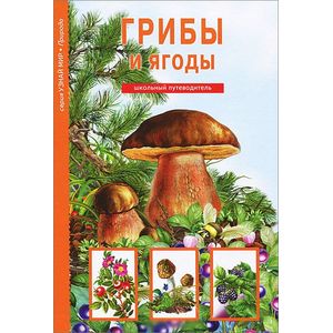Грибы и ягоды