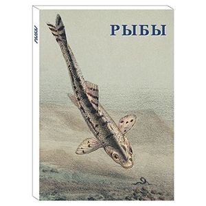 Рыбы (набор из 15 открыток)