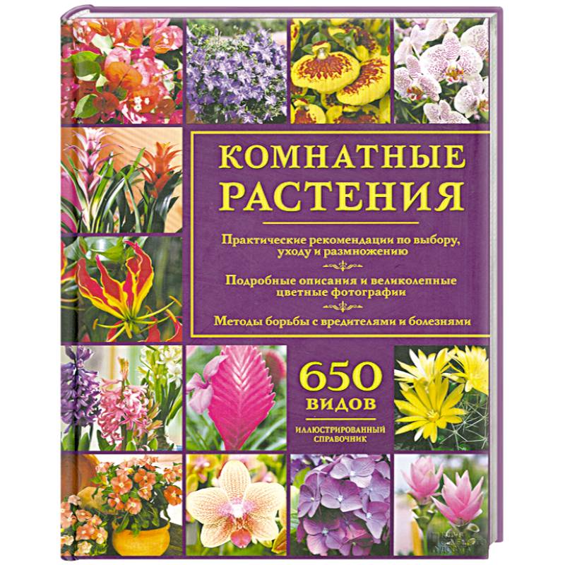 Комнатные растения. Иллюстрированный справочник
