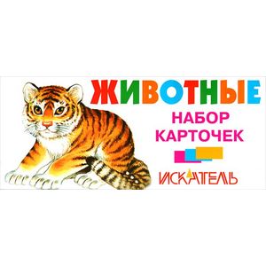 Животные. Набор карточек.