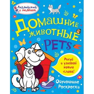 Домашние животные