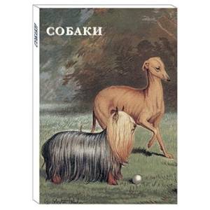 Собаки Собаки