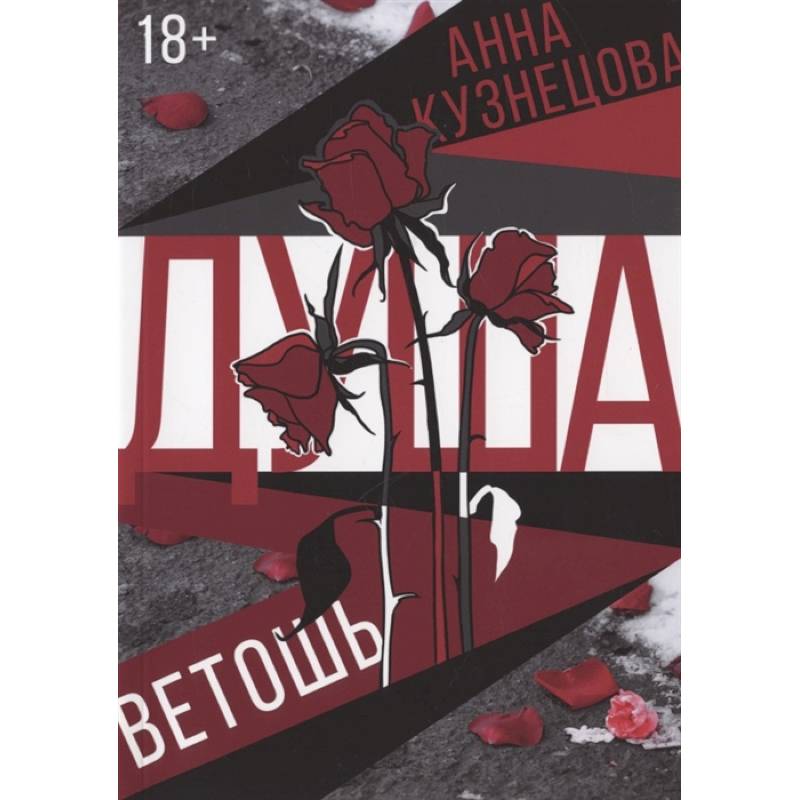 Душа-ветошь Душа-ветошь