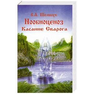Нообиоценоз. Касание Сварога