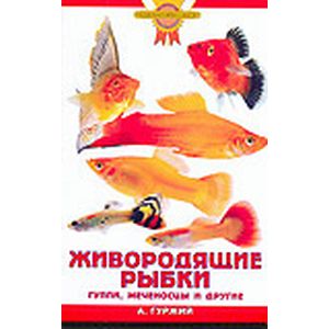 Живородящие рыбки. Гуппи, меченосцы и другие