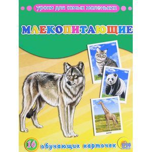 Млекопитающие (набор из 16 обучающих карточек)