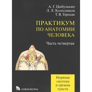Практикум по анатомии человека. Нервная система и органы чувств. Учебное пособие. В 4 частях. Часть 4