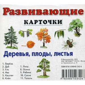 Развивающие карточки. Деревья, плоды, листья