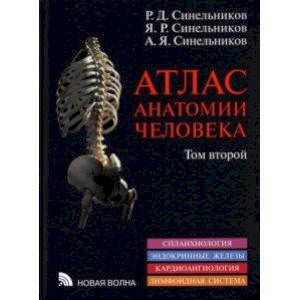 Атлас анатомии человека. В 3-х томах. Том 2